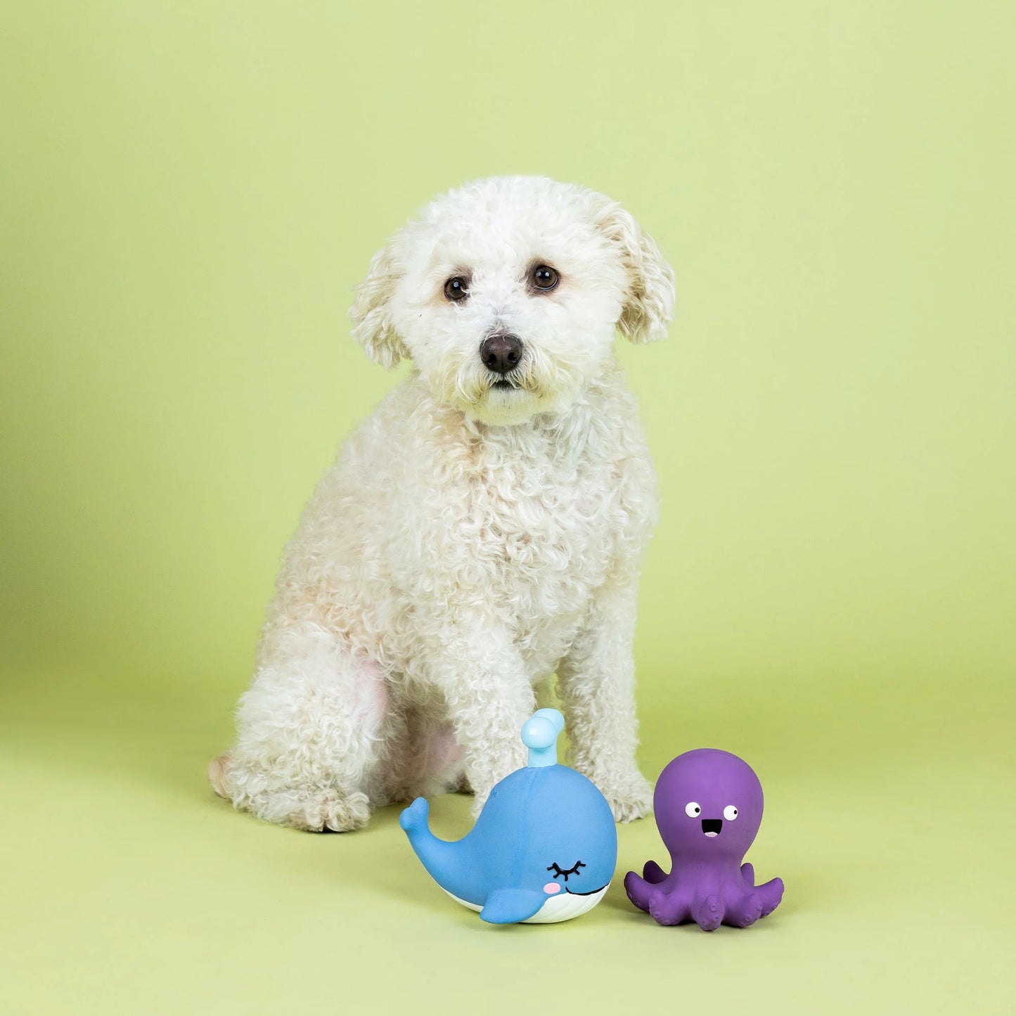 Happy To Sea You 2pc Latex Dog Toy Set