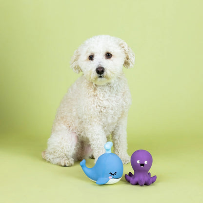 Happy To Sea You 2pc Latex Dog Toy Set