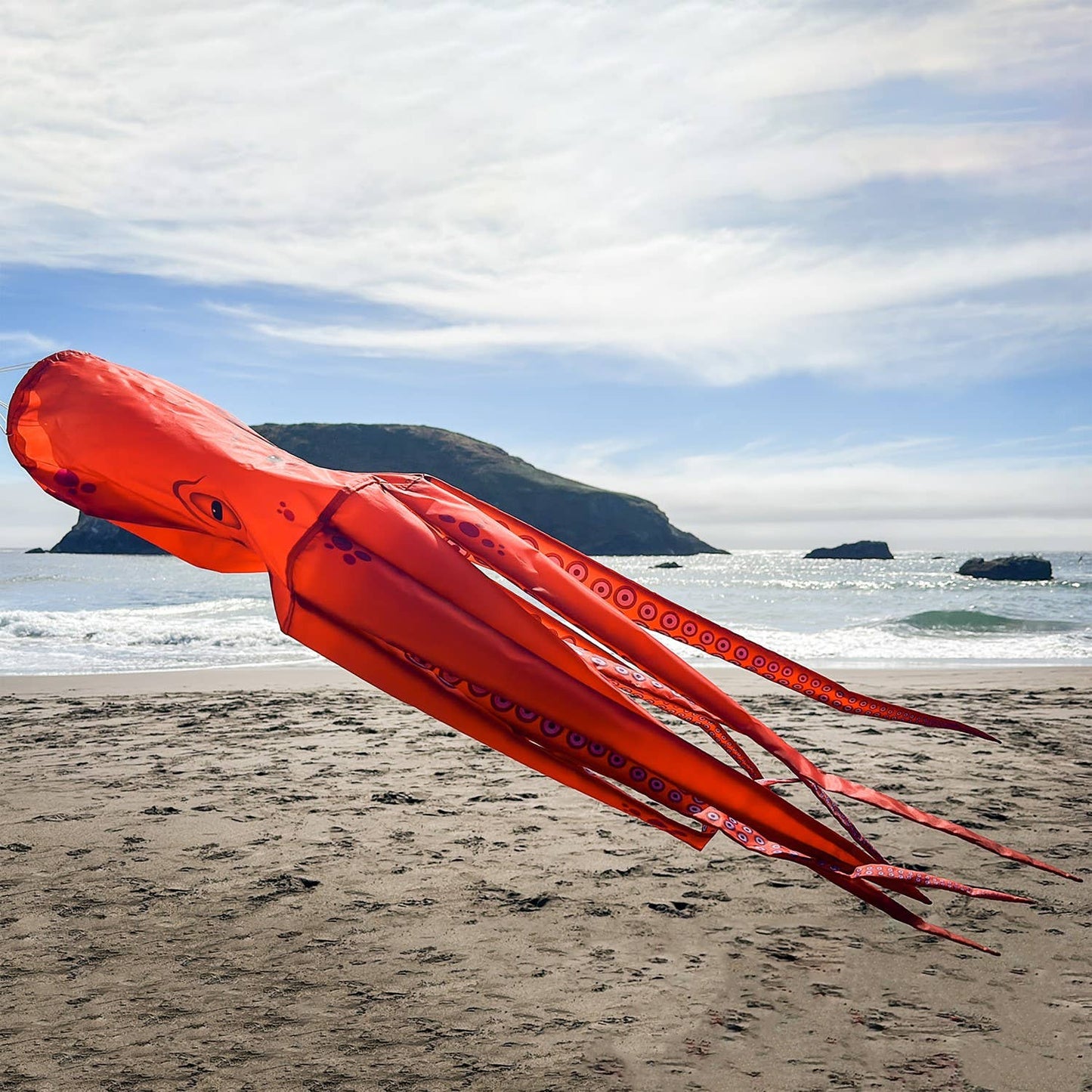 40" Octopus 3D Windsock