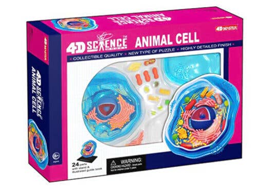4D Science Animal Cell