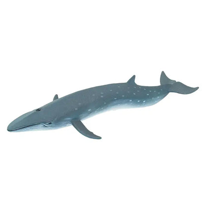 SEI WHALE