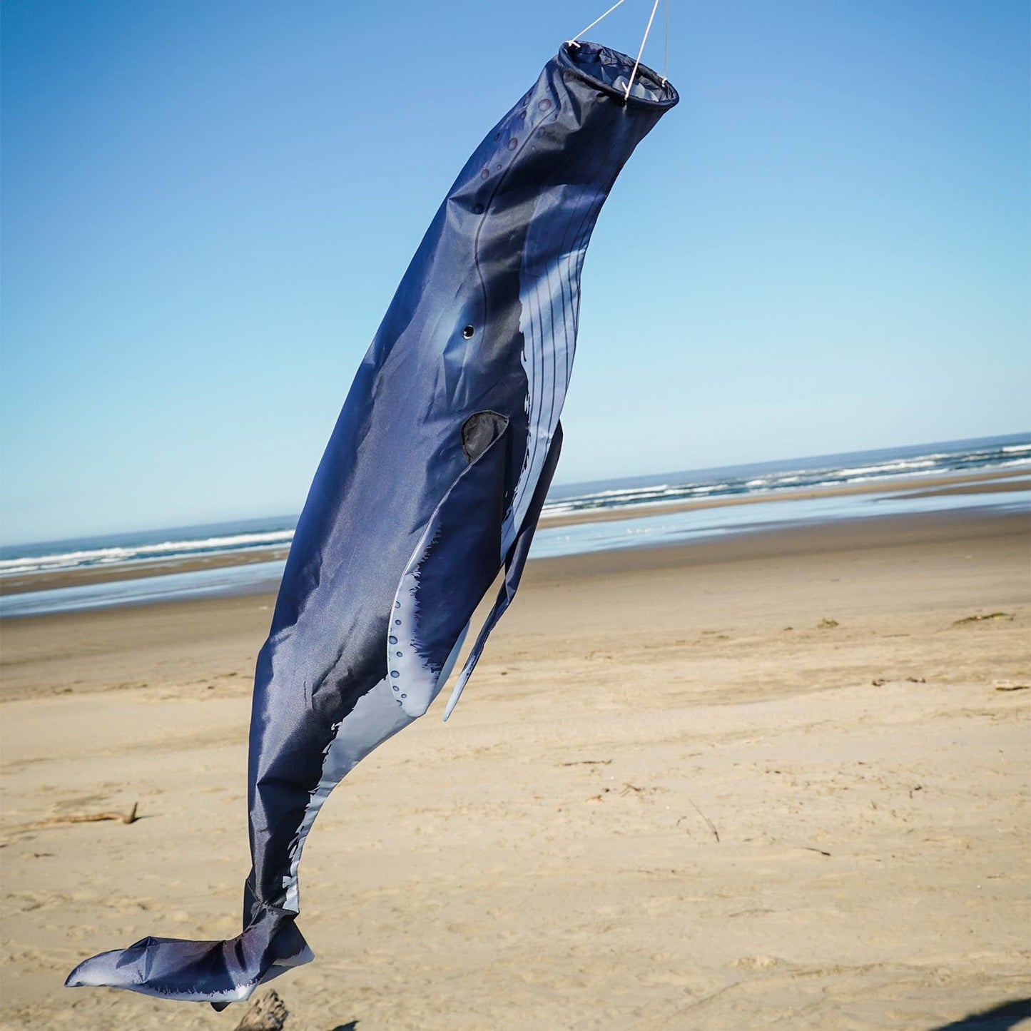 Humpback Whale 48" Fish Windsock
