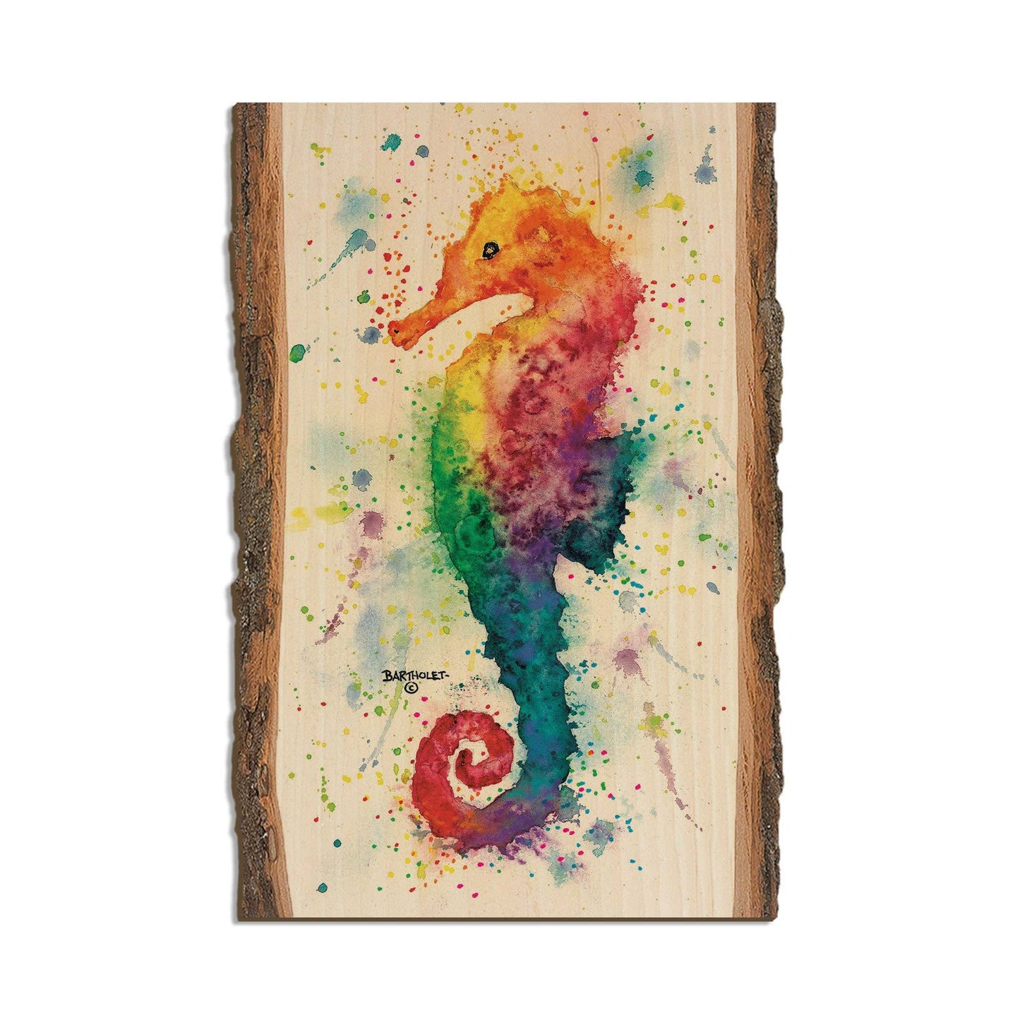 Seahorse Magnet CMA