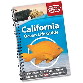 California Ocean Life Guide