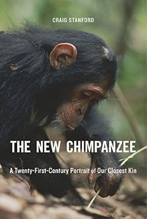 THE NEW CHIMPANZEE