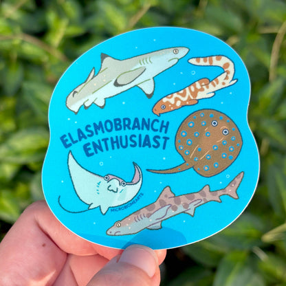 Elasmobranch Enthusiast 3” Sticker 