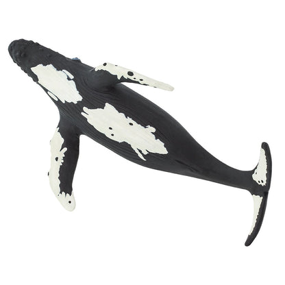 HUMPBACK WHALE
