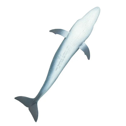 SEI WHALE
