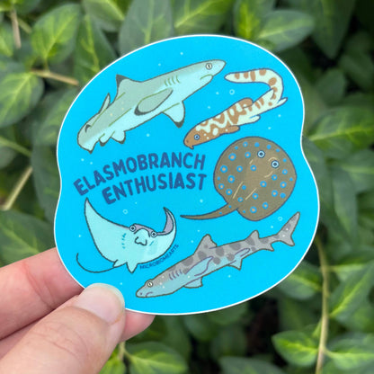 Elasmobranch Enthusiast 3” Sticker 