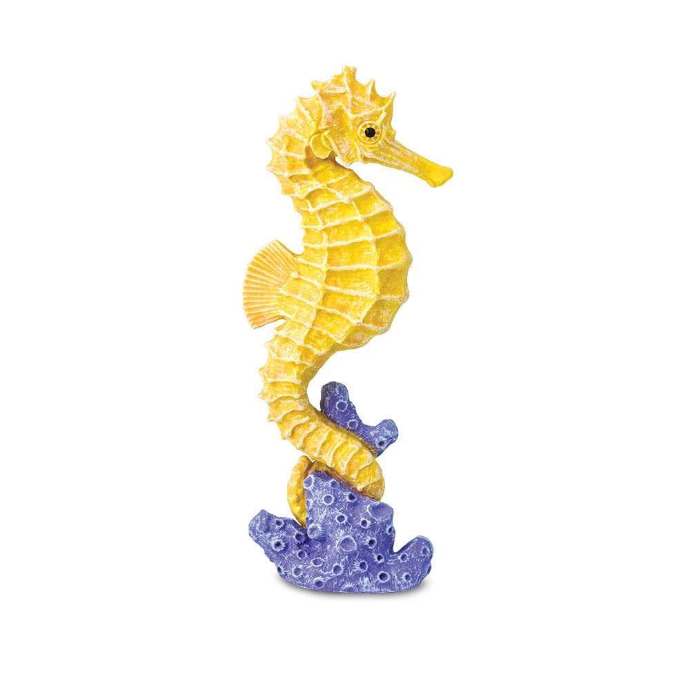 SEAHORSE