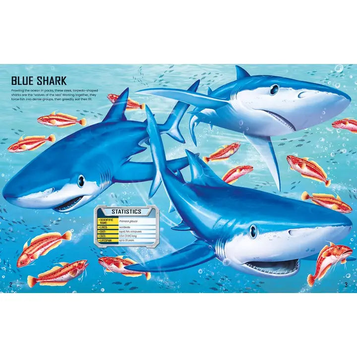Build Your Own Sharks