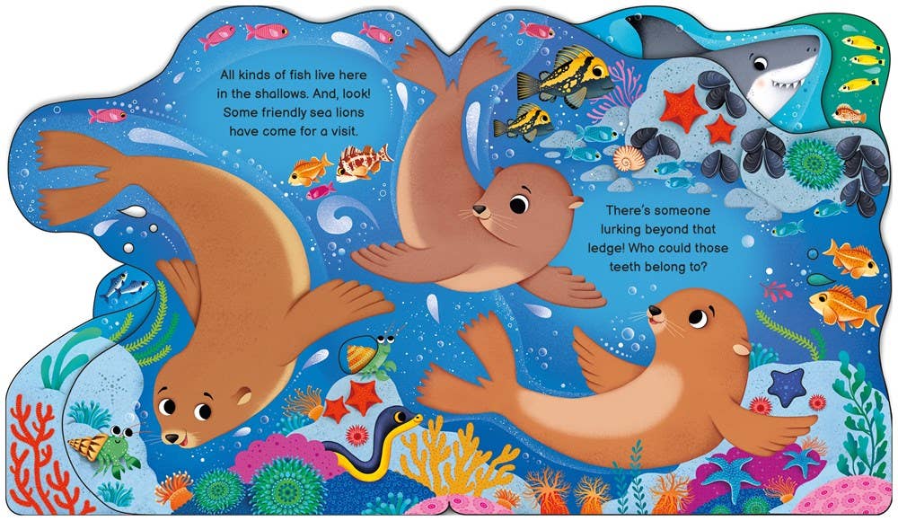 Who's in the Ocean Today? : Usborne