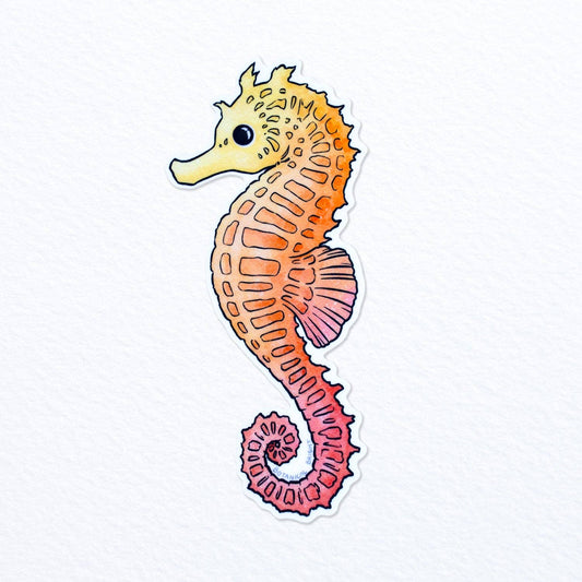 Seahorse Waterproof Vinyl Sticker