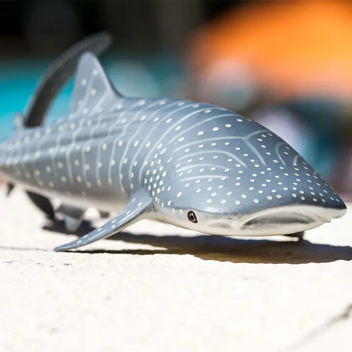 WHALE SHARK