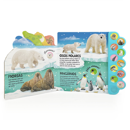 ¡Nada y Salpica en el Mar! / Swim, Splash, in the Sea! (Span