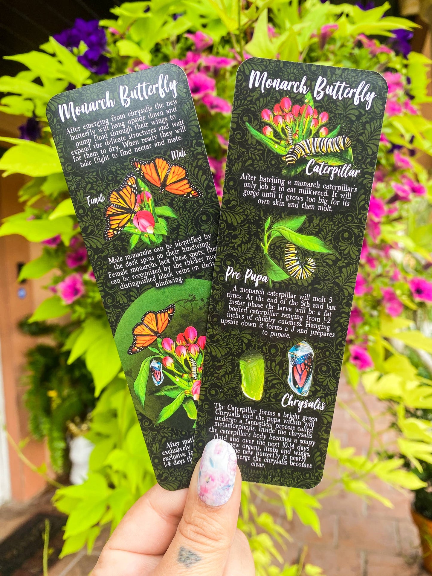 Monarch Lifecycle Bookmark