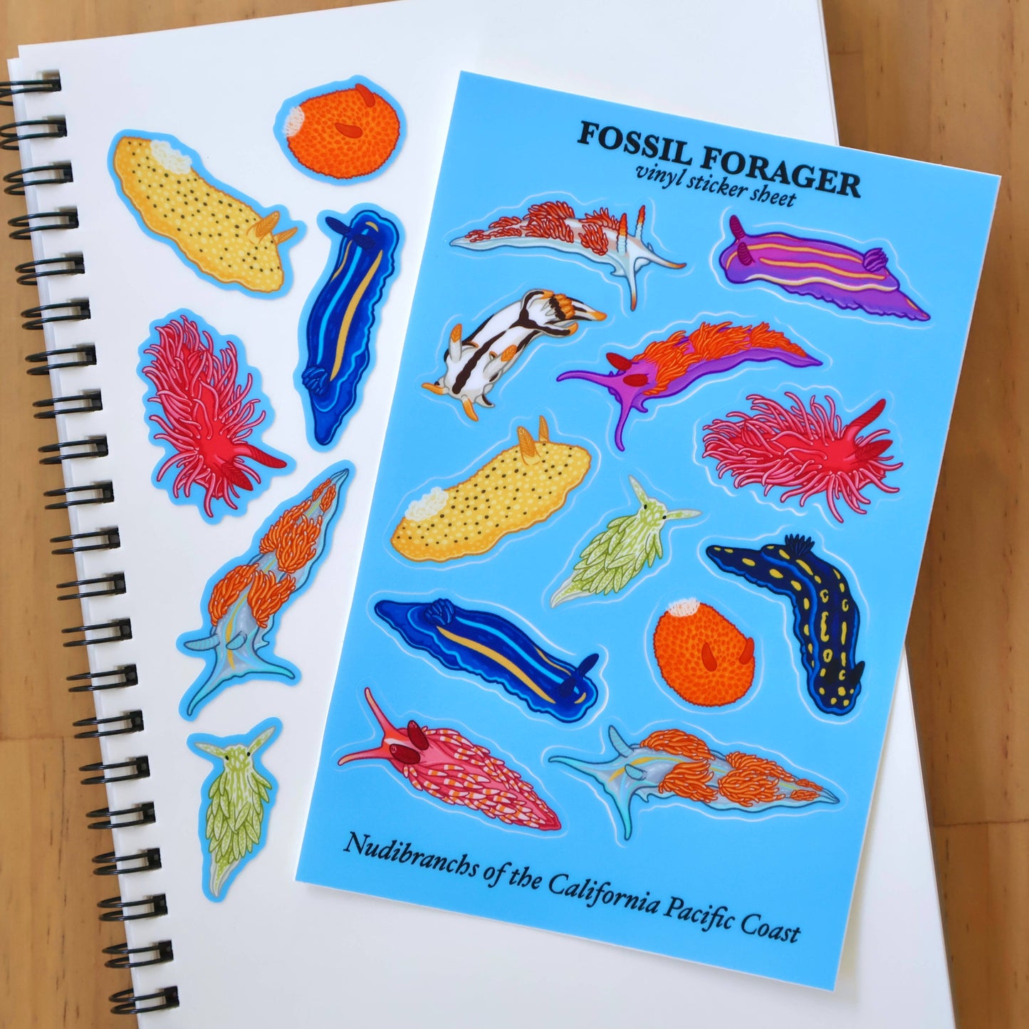 Nudibranchs of the California Coast Sticker Sheet