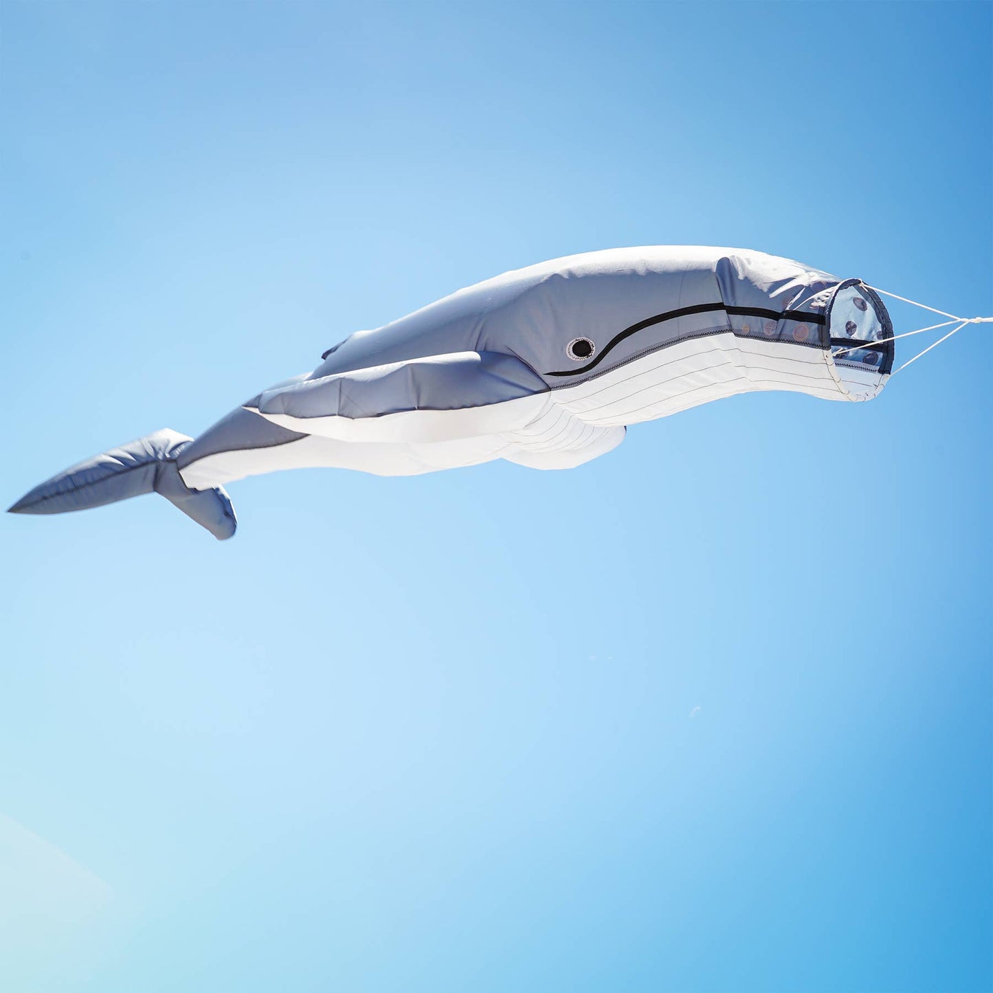 Humpback Big Breeze Windsock™