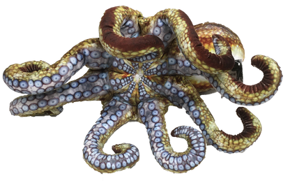 Octopus Aquatic Ocean Plush 10" Stuffed Animal