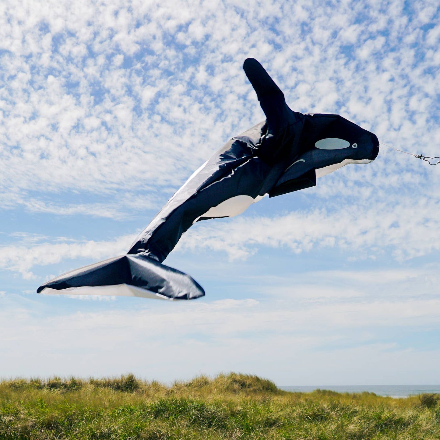 54" Orca Windsock