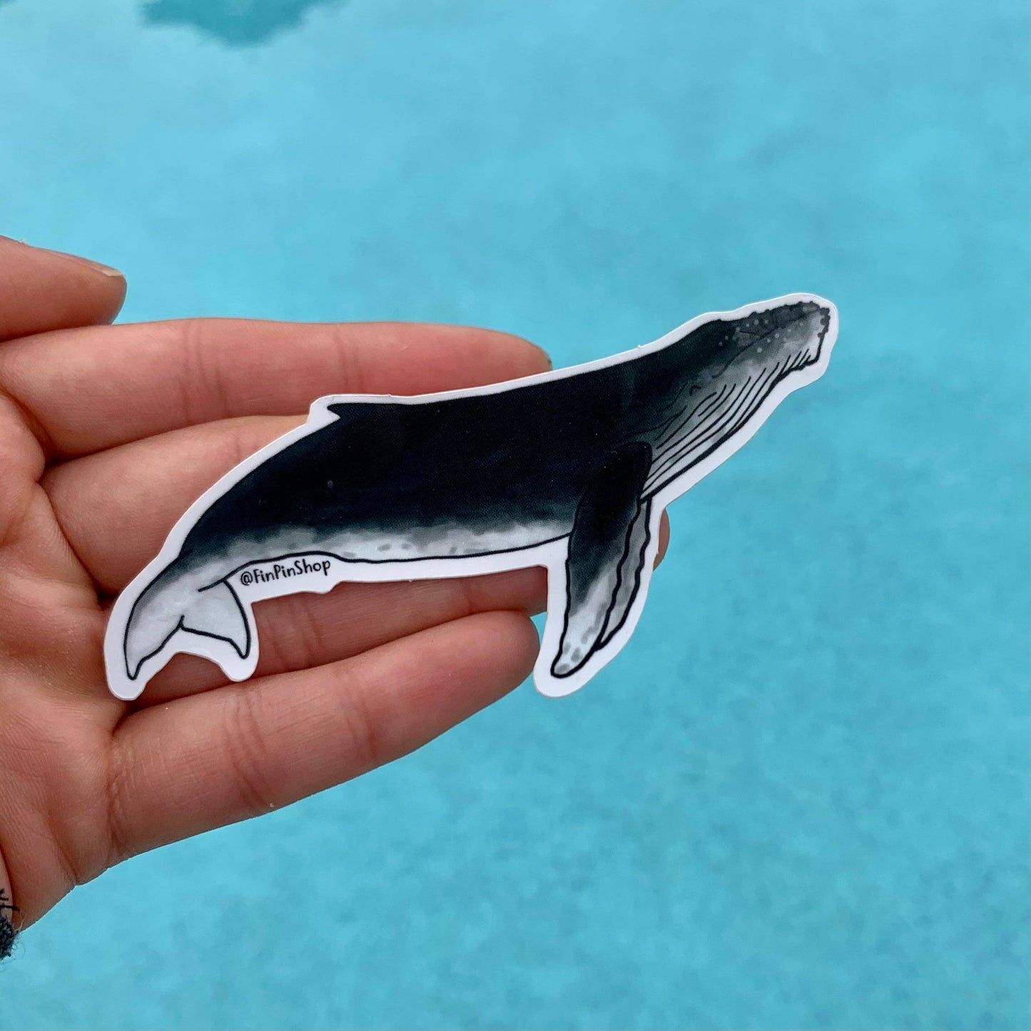 Humpback whale sticker Donation Item