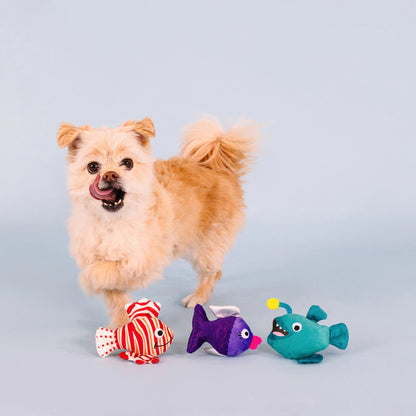 Any Fin Is Possible 3pc Mini Plush Dog Toy Set