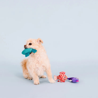 Any Fin Is Possible 3pc Mini Plush Dog Toy Set
