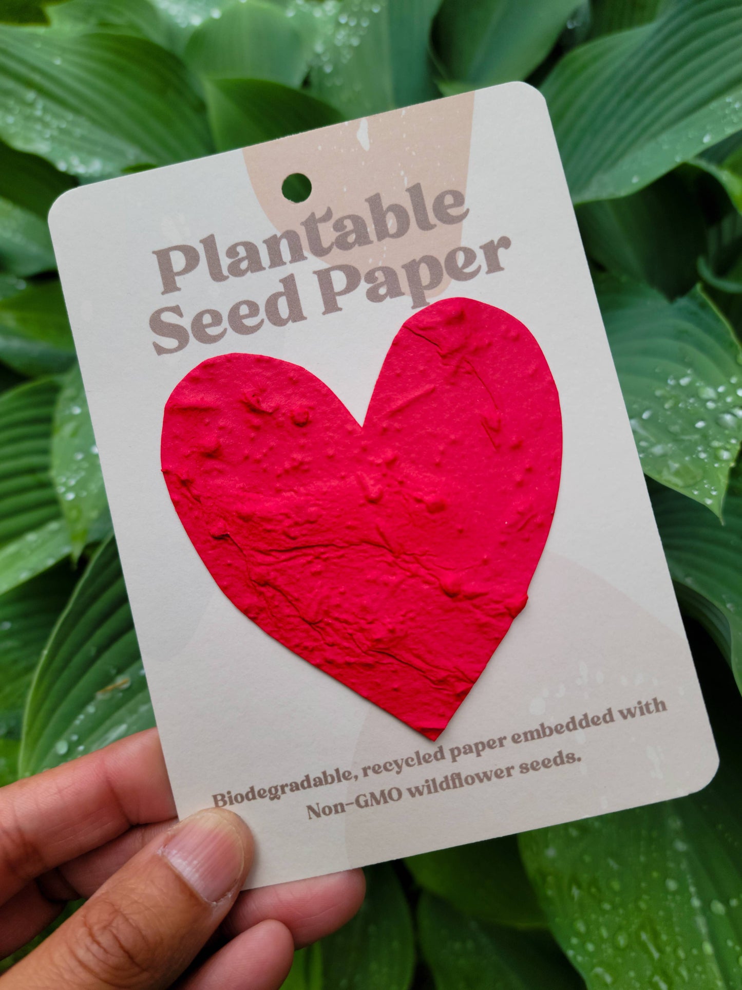 Plantable Seed Paper