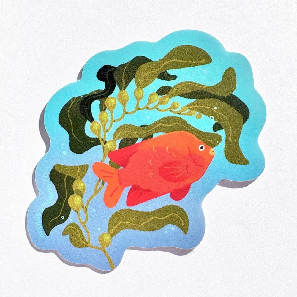 Garibaldi Fish Sticker