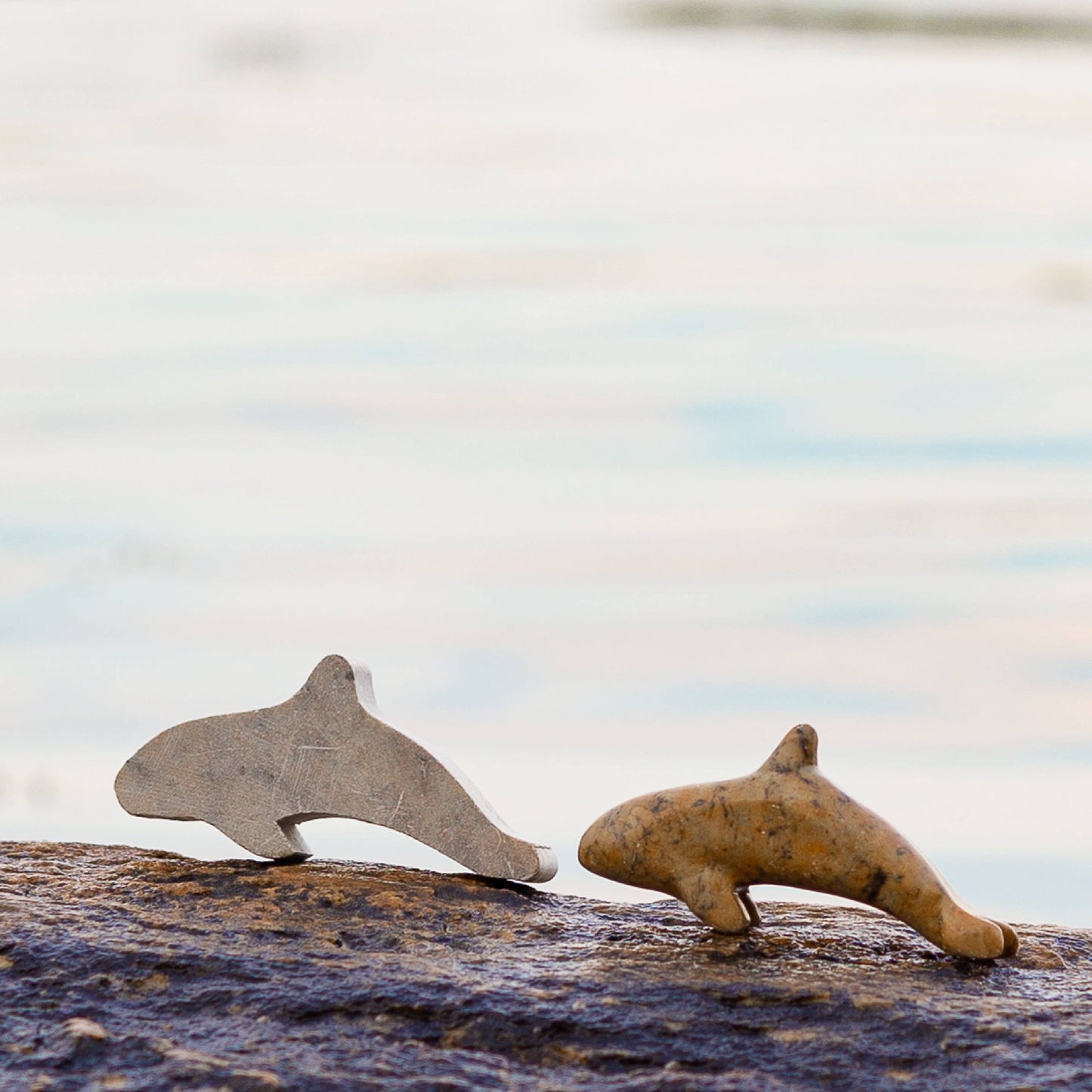 Orca Soapstone Carving Kit
