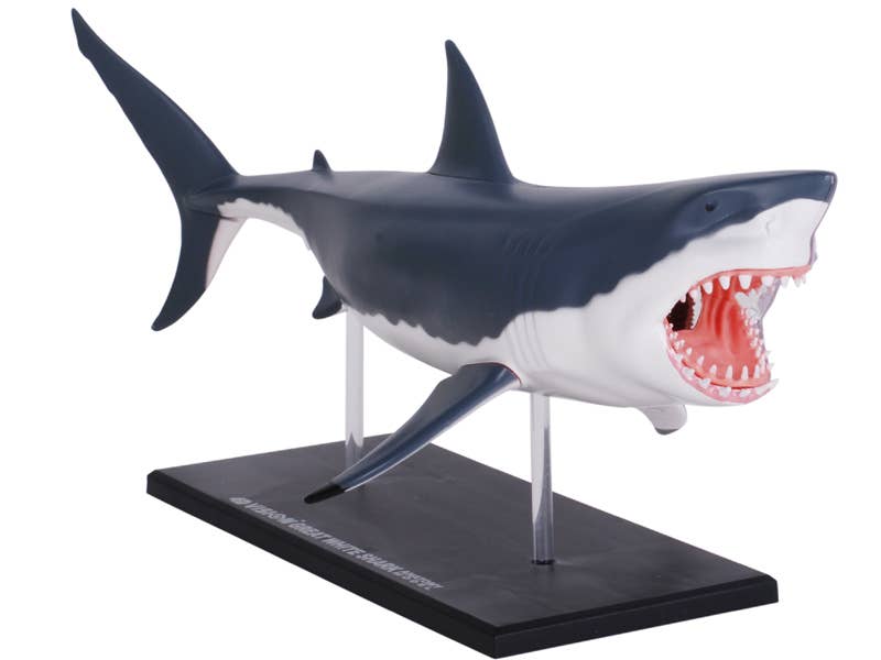 4D Great White Shark