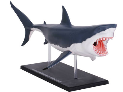 4D Great White Shark