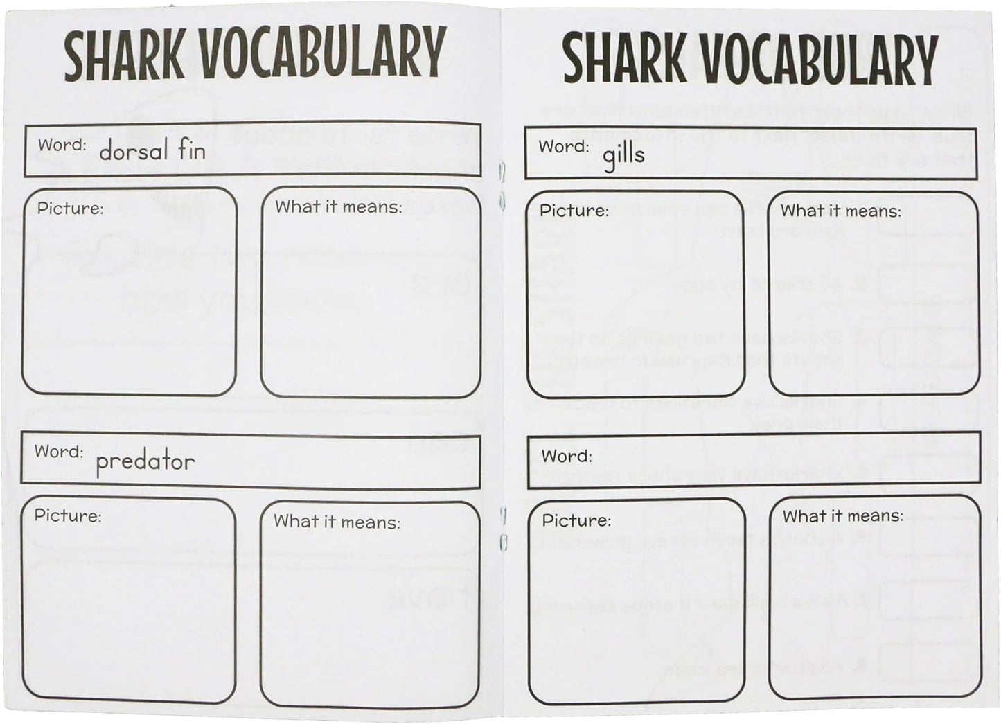 SHARK ACTIVITY BOOK