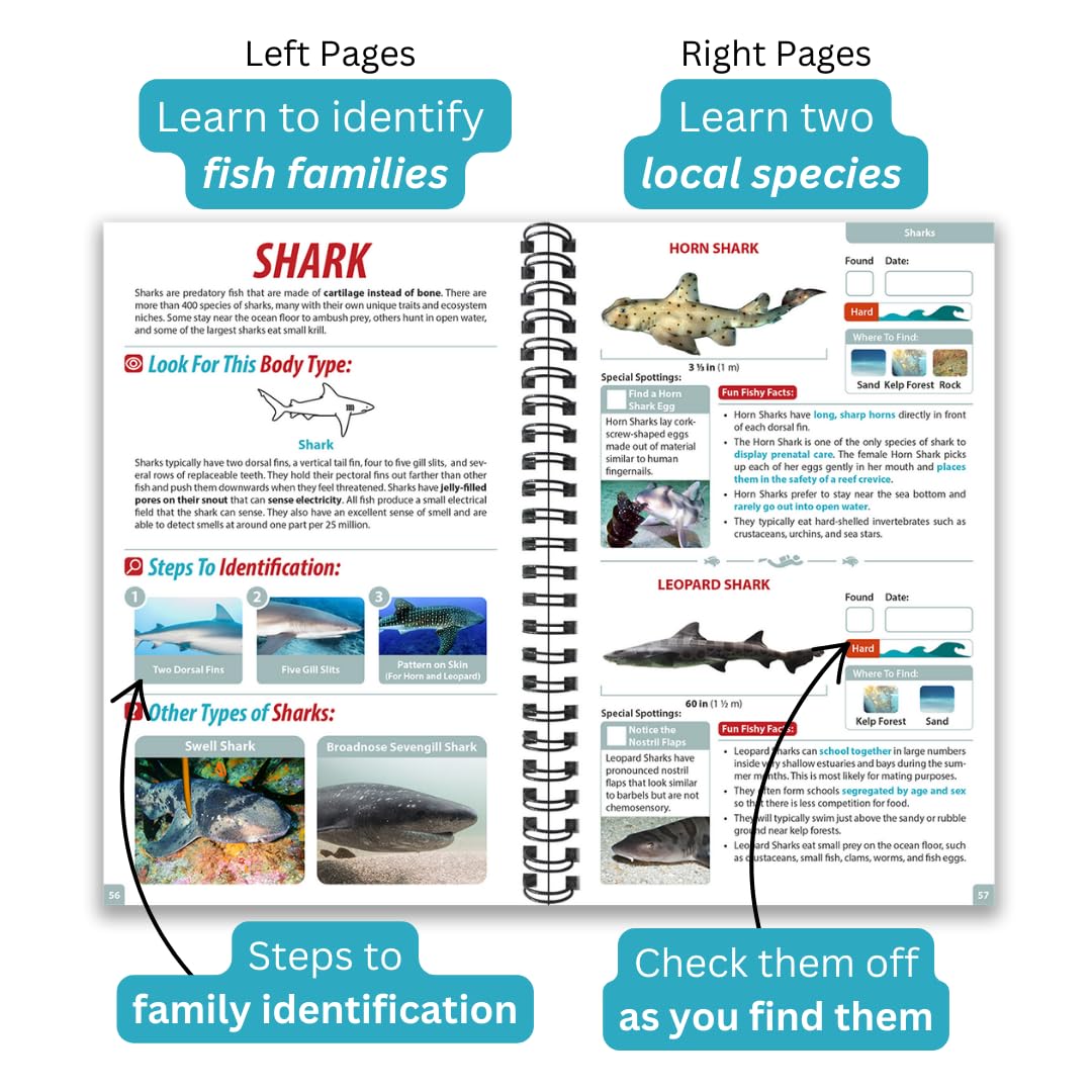 California Ocean Life Guide