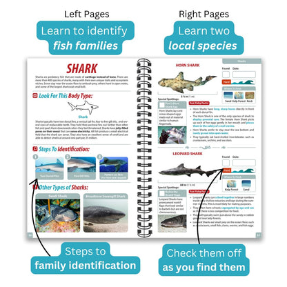 California Ocean Life Guide