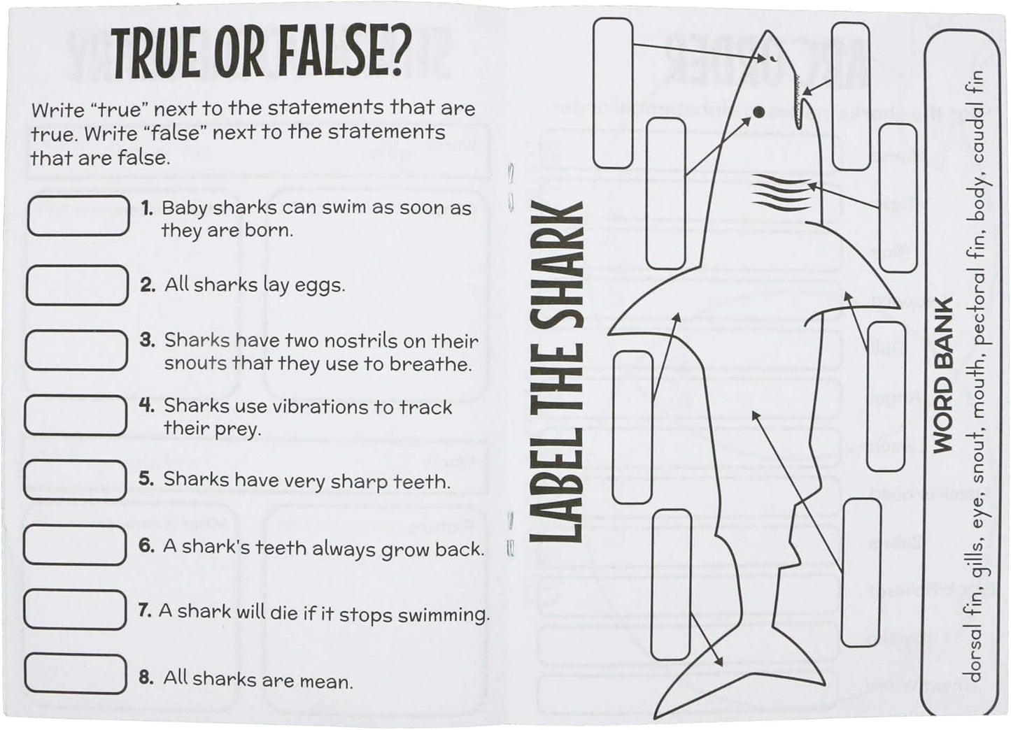 SHARK ACTIVITY BOOK