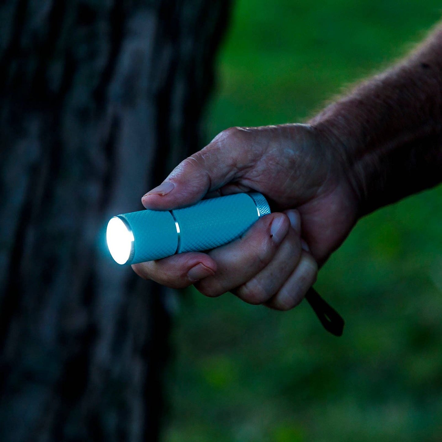 LitezAll Glow In the Dark LED Pocket  Flashlight with COB LED
