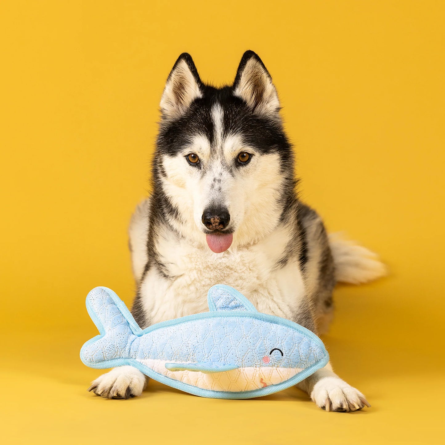 Some Fin About you Durable Plush Dog Toy