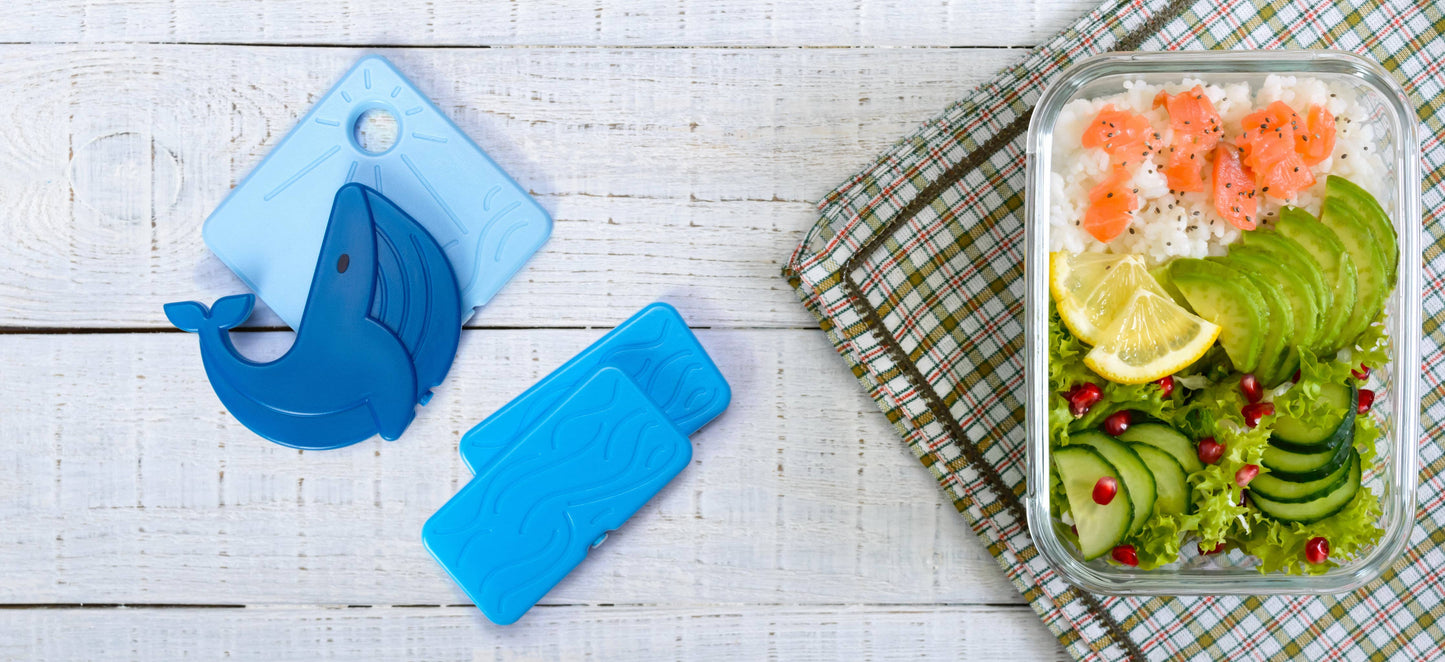 Whale Fun Ice Packs Set | Back To Cool