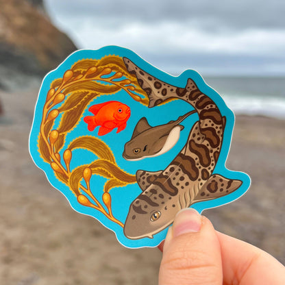 Leopard Shark & Kelp Sticker