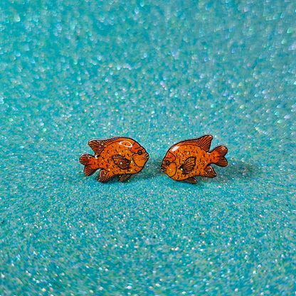Garibaldi Fish Stud Earrings in Shrink Plastic UV Resin