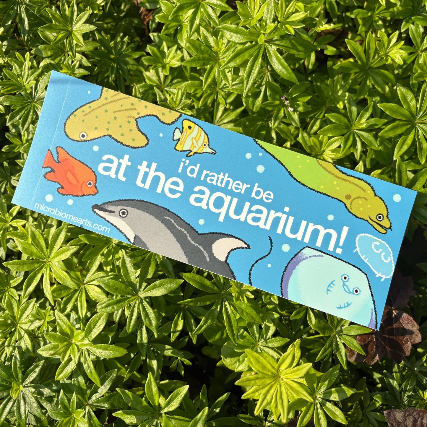 I’d Rather Be At The Aquarium Bumper Sticker