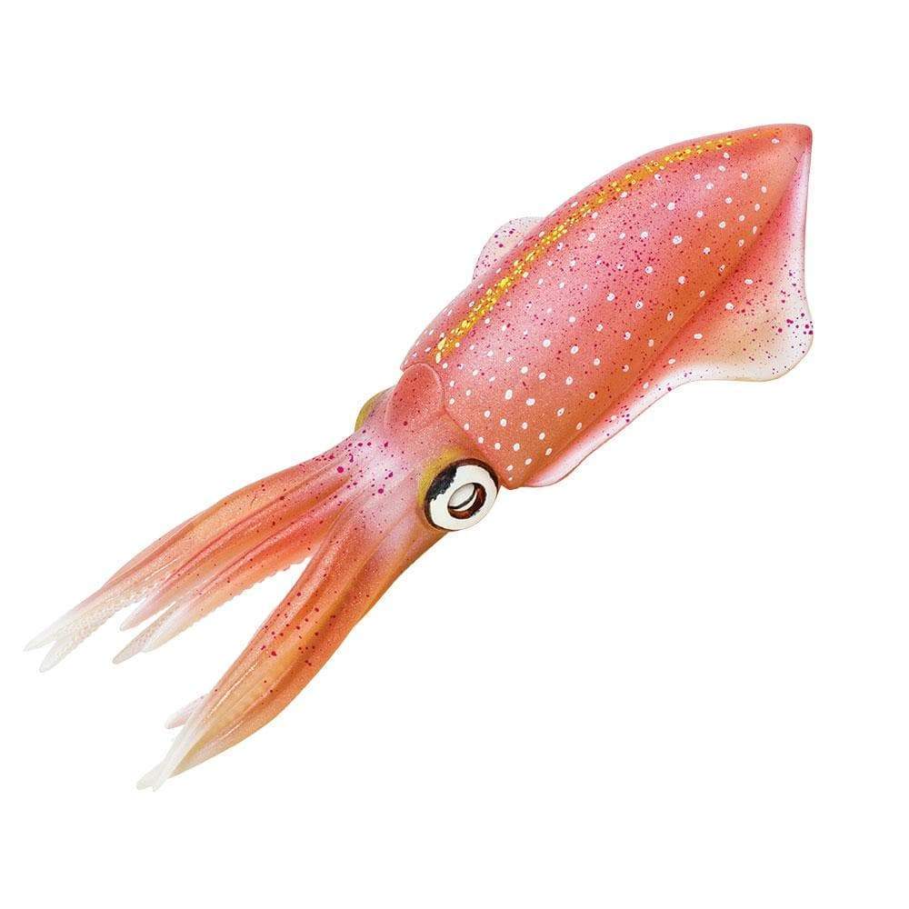 REEF SQUID