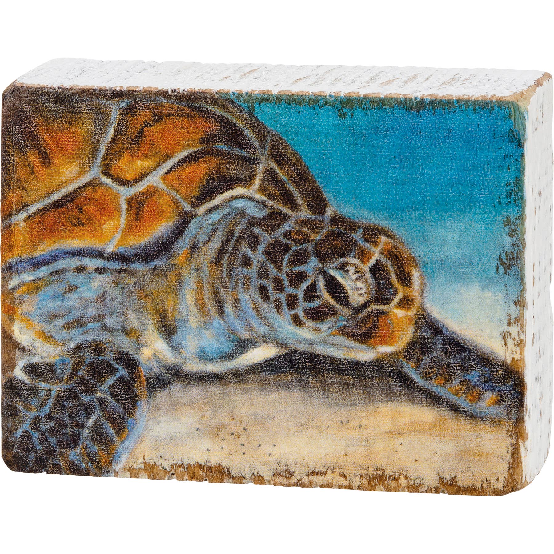 Sea Turtle Block Sign