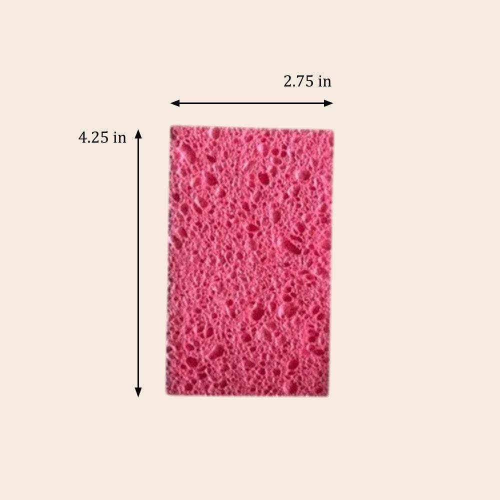 Compostable Cellulose Kitchen Sponge | Kitchen Bestseller