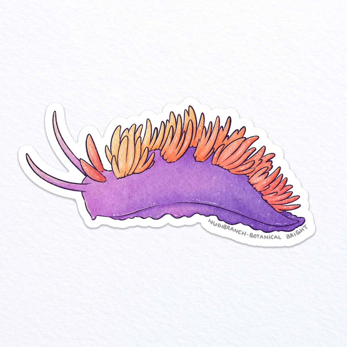 Nudibranch Sea Slug Waterproof Vinyl Sticker