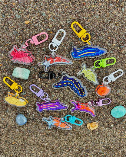 Mystery Mini Sea Slug Acrylic Keychain