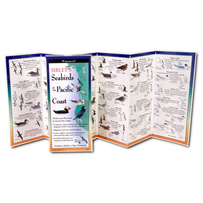 Sibley's Seabirds of the Pacific Coast