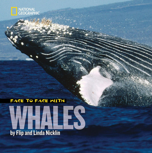 Face to Face with Whales