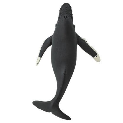 HUMPBACK WHALE